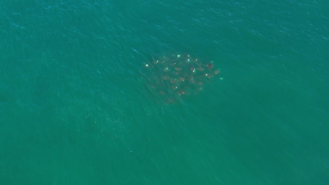 Overhead view of blue-green water in Los Cabos, Mexico, with a small brownish floating form near the upper left and no visible people.