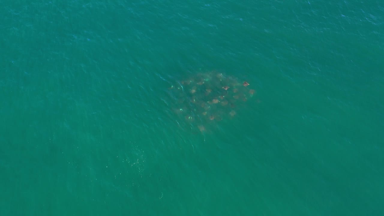 Turquoise ocean surface with a small clustered shape near the upper right.