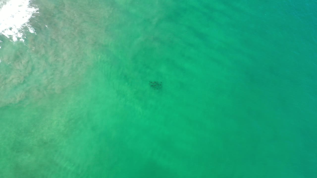 Overhead view of turquoise water in Los Cabos, Mexico, with pale surf entering from the upper left and a small dark submerged shape near center, no visible people.