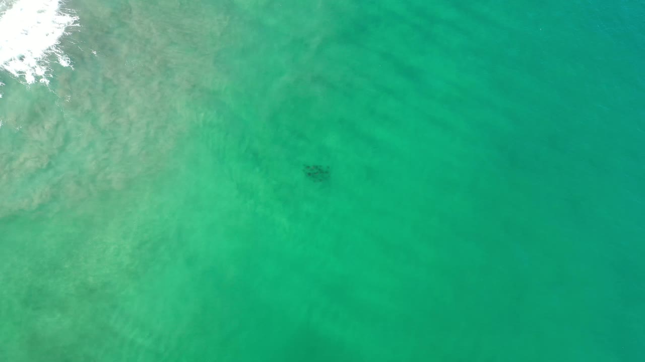 Aerial frame over Los Cabos water showing green-blue surface texture, pale wash along the left side, and a dark shape slightly right of center, no visible people.