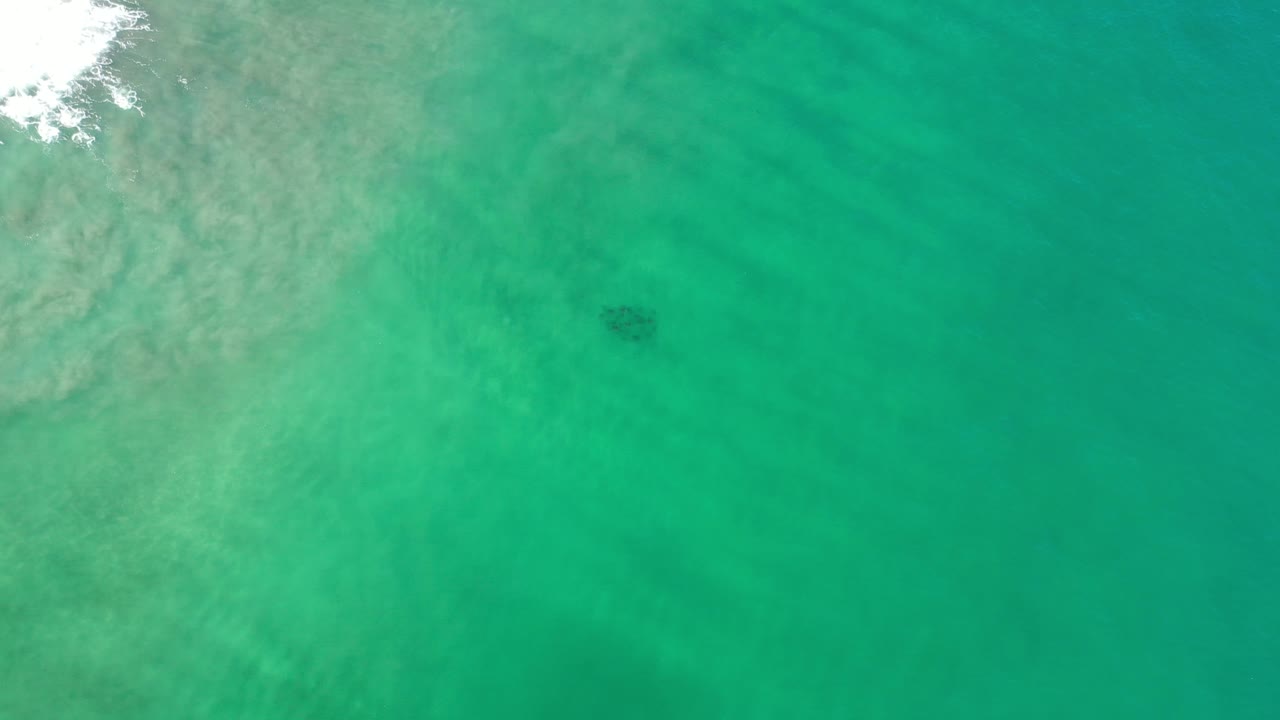 Overhead ocean surface with pale water at left and a dark spot beneath the water.