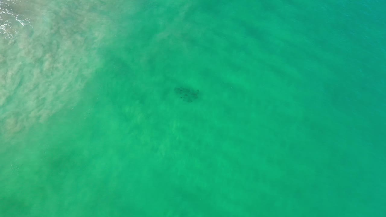 Green Los Cabos ocean water fills the frame with pale surface wash along the left side and the fish school slightly right of center, no visible people.
