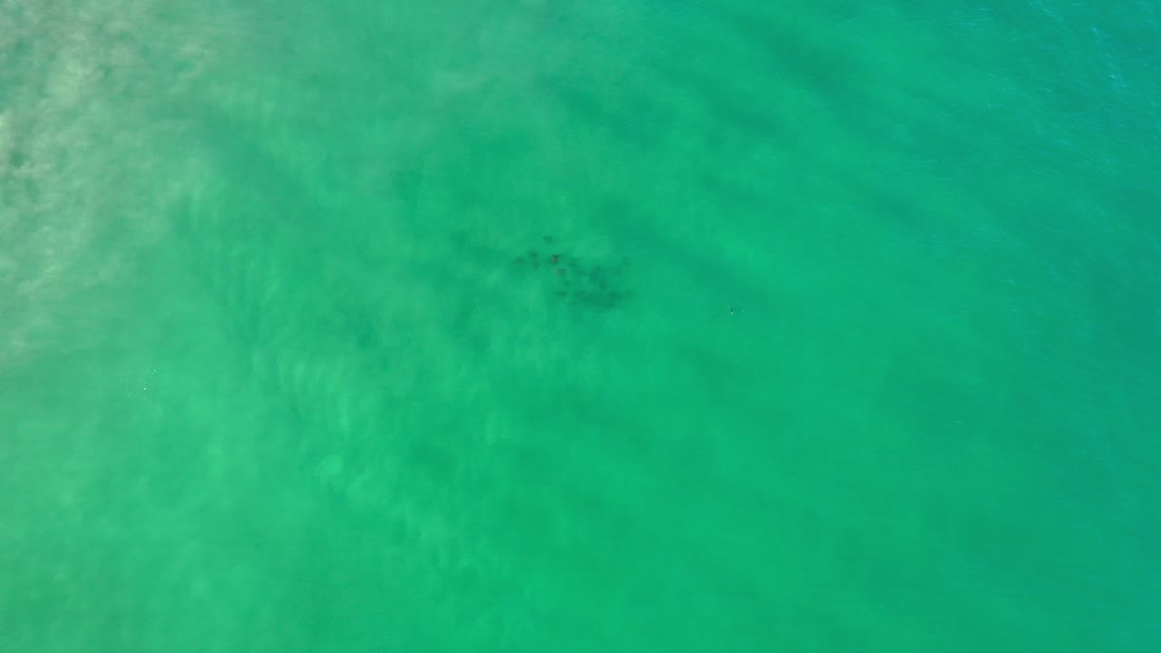Top-down view of green shallow ocean water in Los Cabos, Mexico, with a small dark school of fish near the upper center and no visible people.