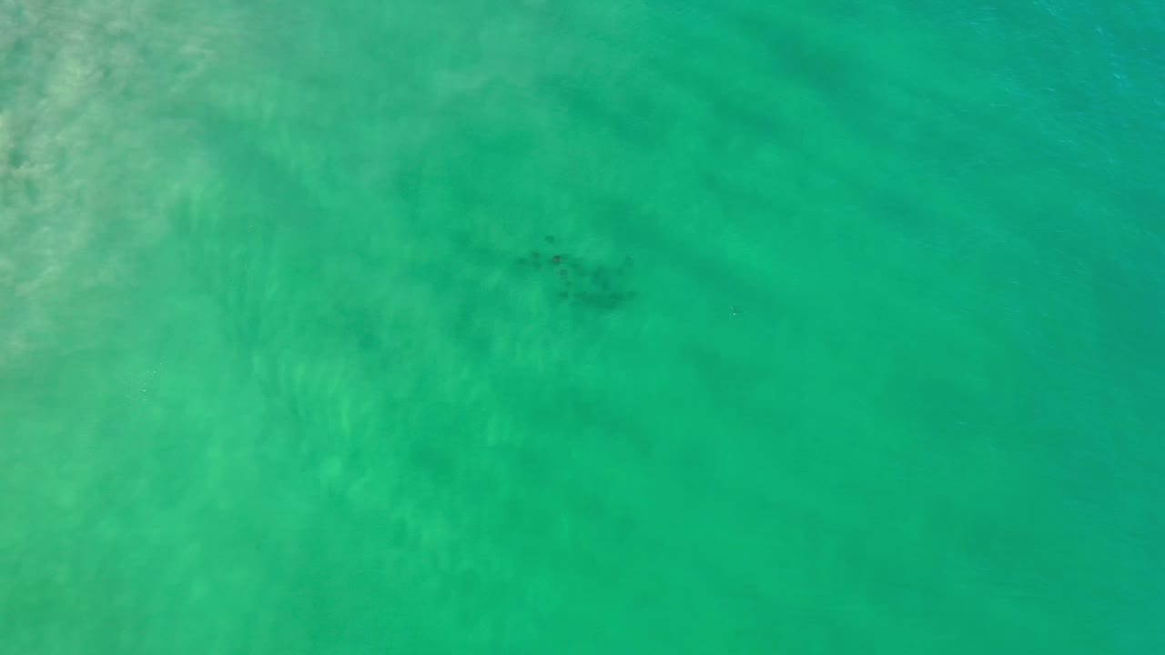 Aerial frame over Los Cabos green water, showing pale underwater sand patterns and the fish school slightly right of center with no visible people.