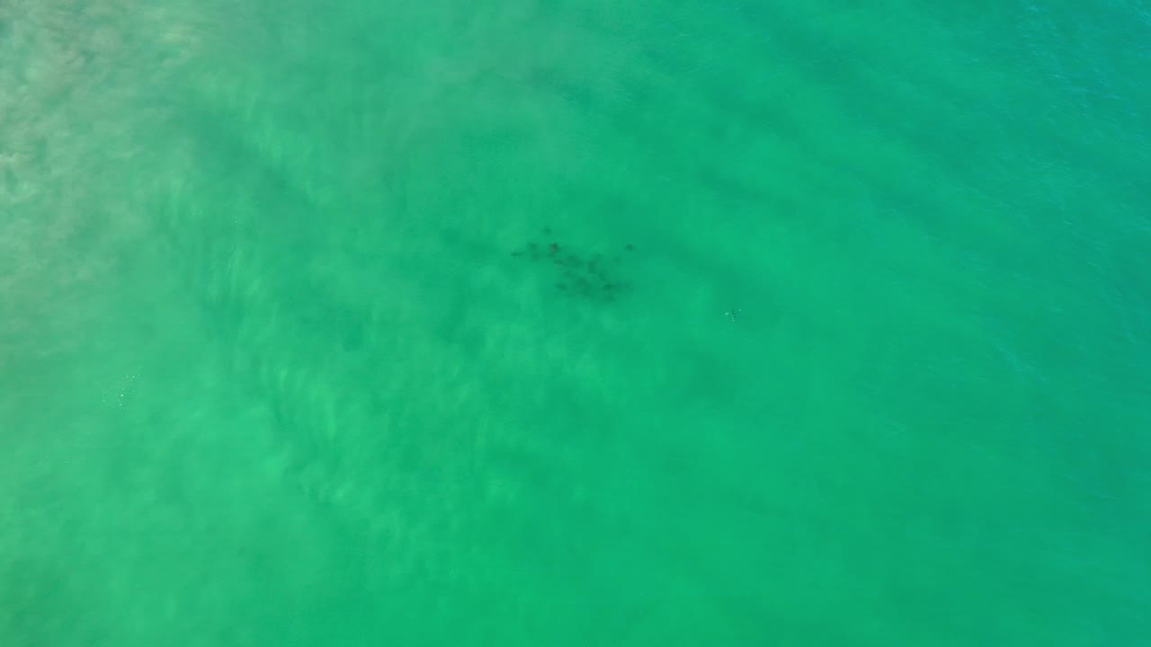 Aquamarine water with a small dark school of fish under ripples.
