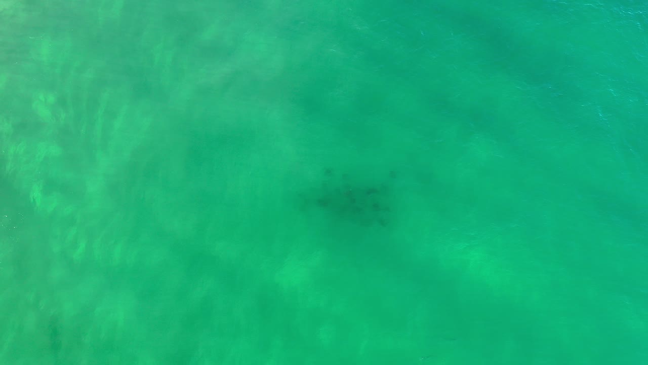 Overhead green ocean water with a dark fish school beneath the surface.