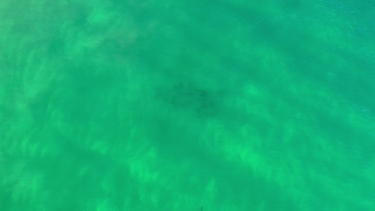 Overhead view of green sea water in Los Cabos, Mexico, with faint lighter patches under the rippled surface and no visible people.