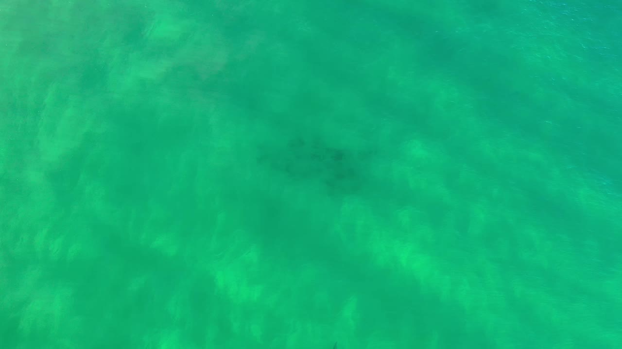 Green Los Cabos sea water fills the frame, with subtle ripples and mottled lighter areas visible below the surface, and no visible people.