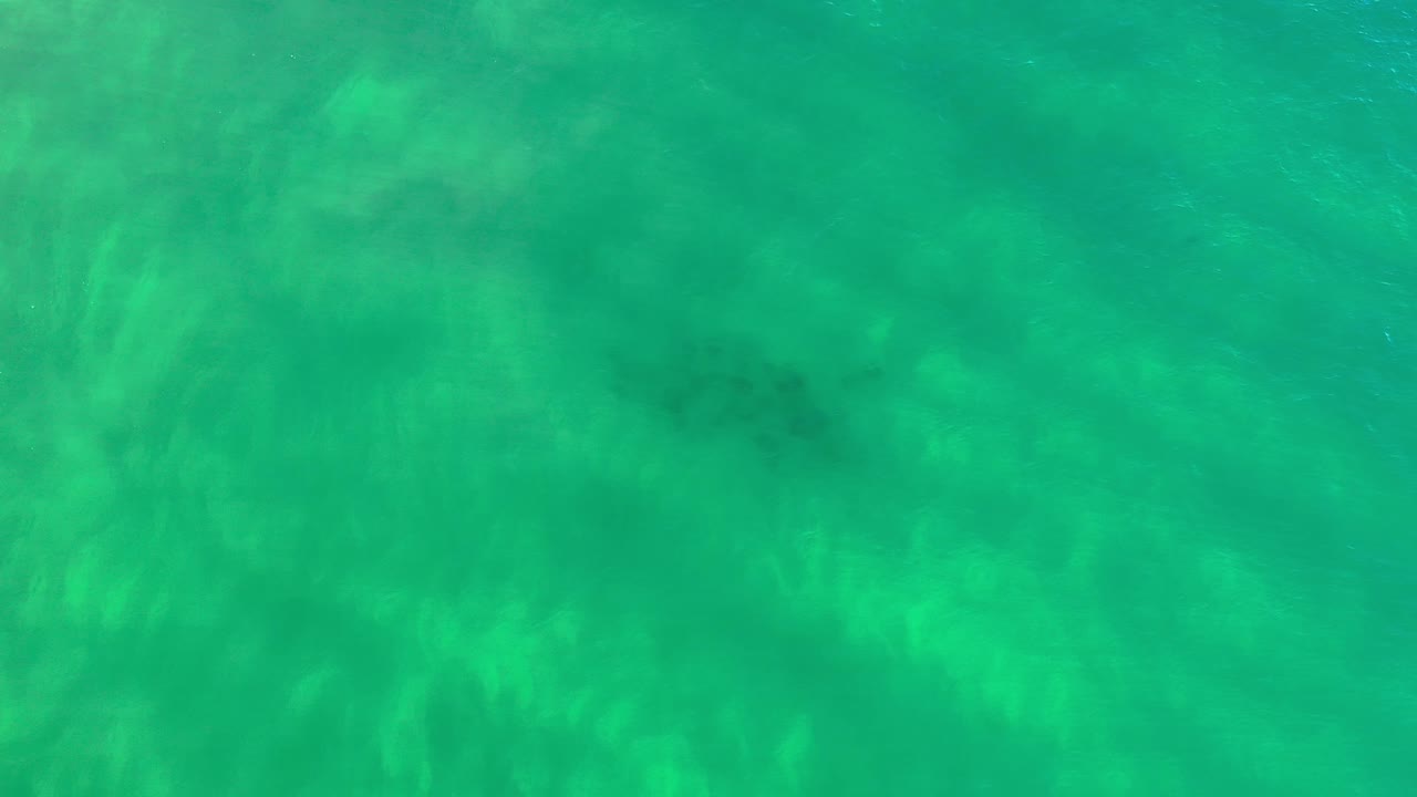Rippled green water with darker areas under the surface.