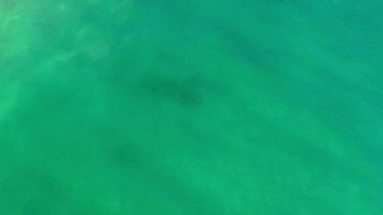Top-down view of green sea water in Los Cabos, Mexico, with diffuse darker patches under the surface and no visible people.
