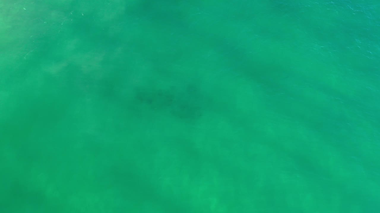 Overhead green water with faint darker shapes below.