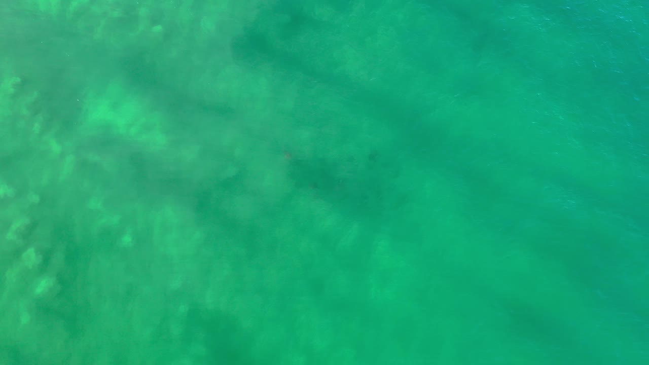 Aqua sea surface with pale bottom below