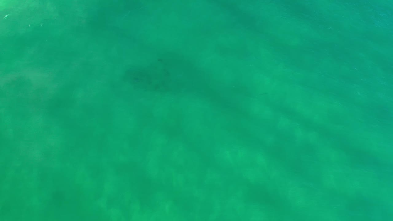Turquoise Los Cabos sea surface fills the frame, with faint submerged shapes and no visible people or boats.