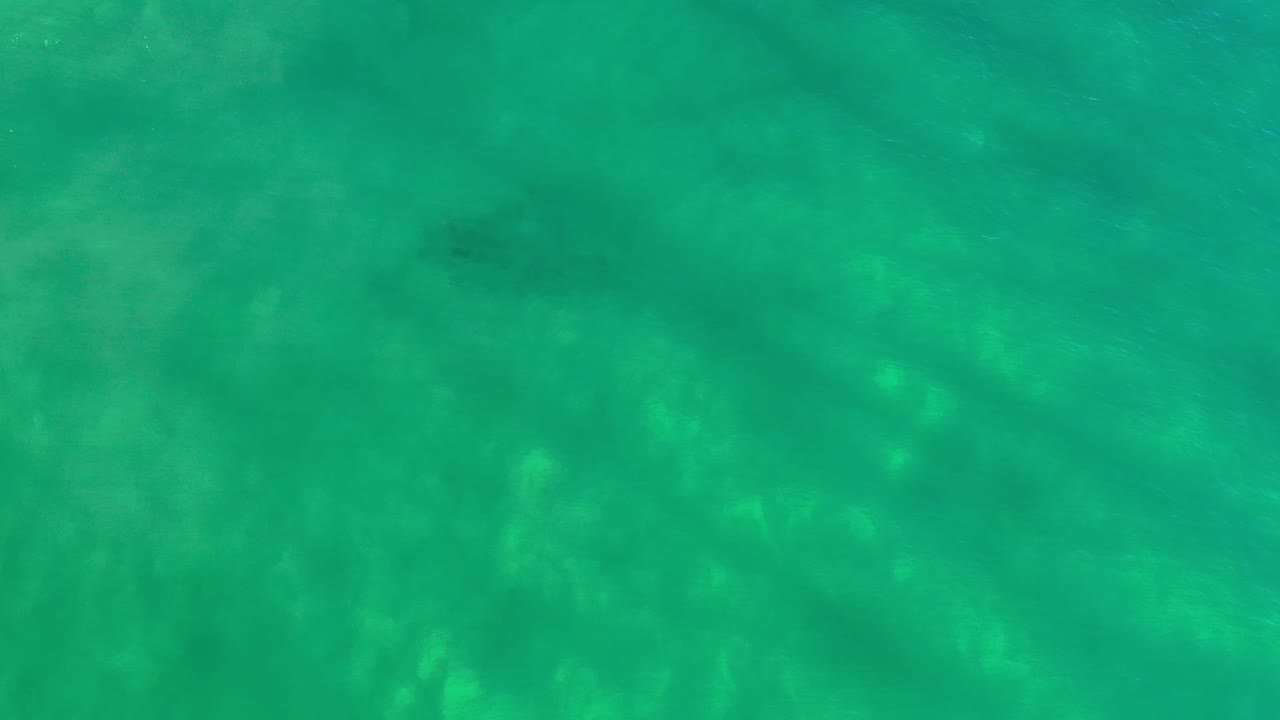 Green water with soft light and underwater shadows