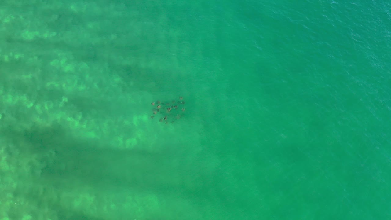 Top-down view of green ocean water in Los Cabos, Mexico, with pale underwater patches and a small dark school of fish near the upper center, no visible people.