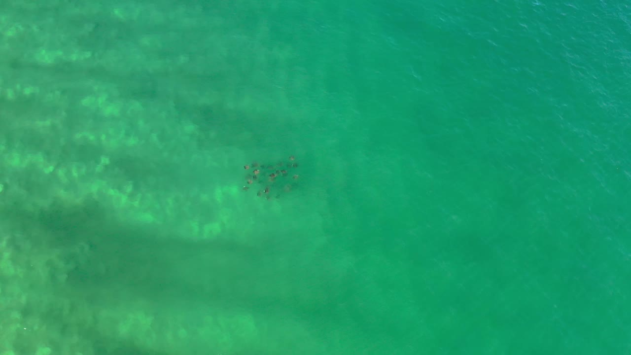 Aerial top view over Los Cabos green water, where the small fish school sits slightly right of center amid soft underwater light patches, no visible people.