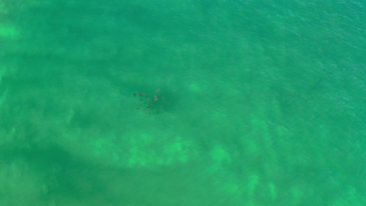 Overhead view in Los Cabos, Mexico, showing a small dark group of sea animals near the upper left of bright turquoise water, with no visible people.