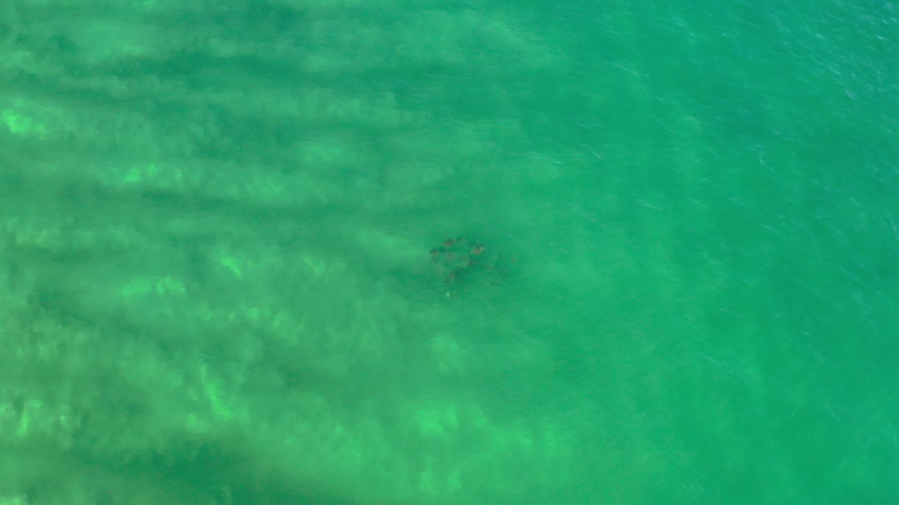 Overhead view of turquoise green water in Los Cabos, Mexico, with pale underwater bands near the top of frame and no visible people.