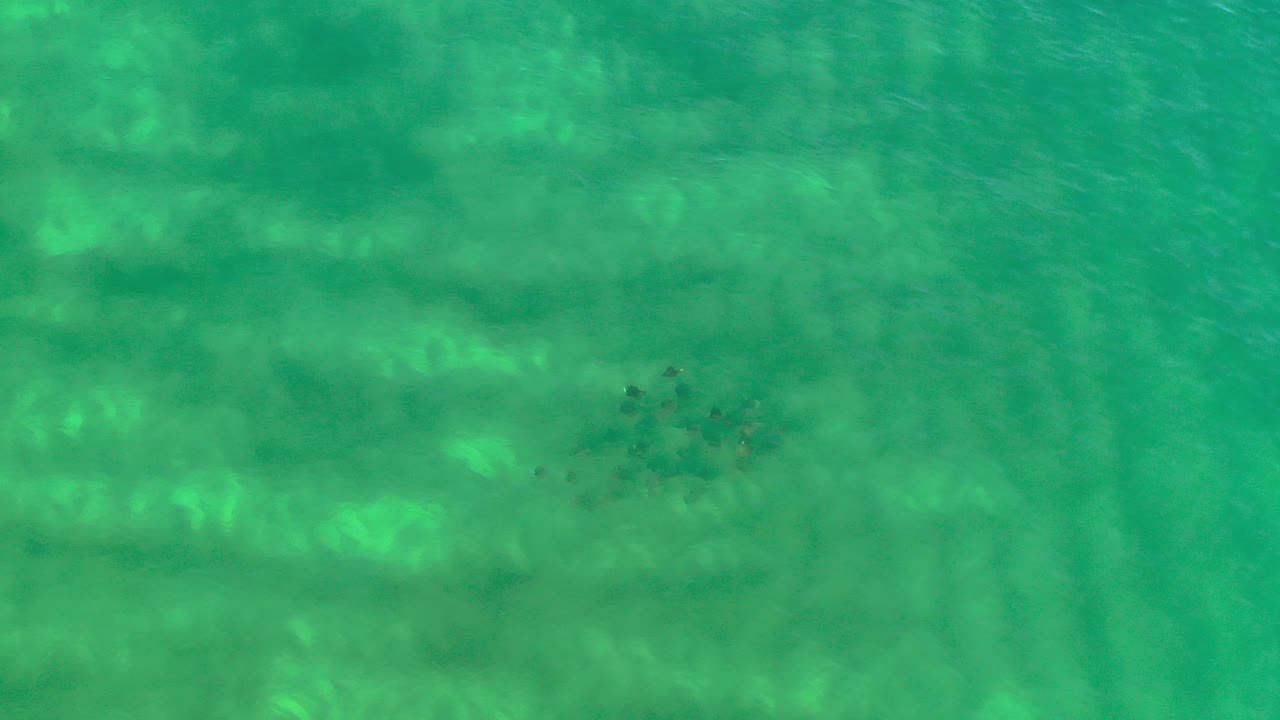 Top-down view of transparent green-blue sea water in Los Cabos, Mexico, with faint submerged patches near the upper center and no visible people.