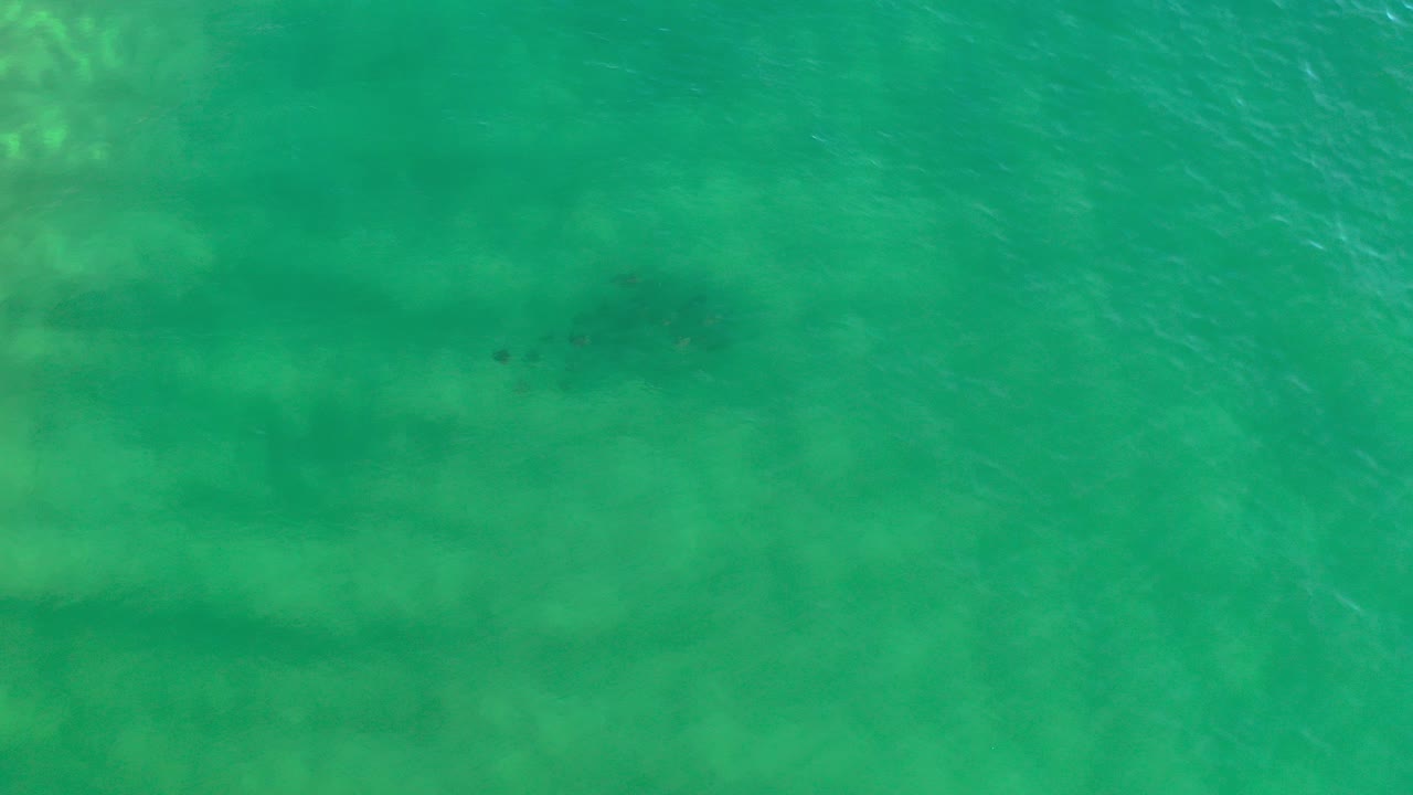 Overhead view of green-blue shallow water with darker seafloor patches.