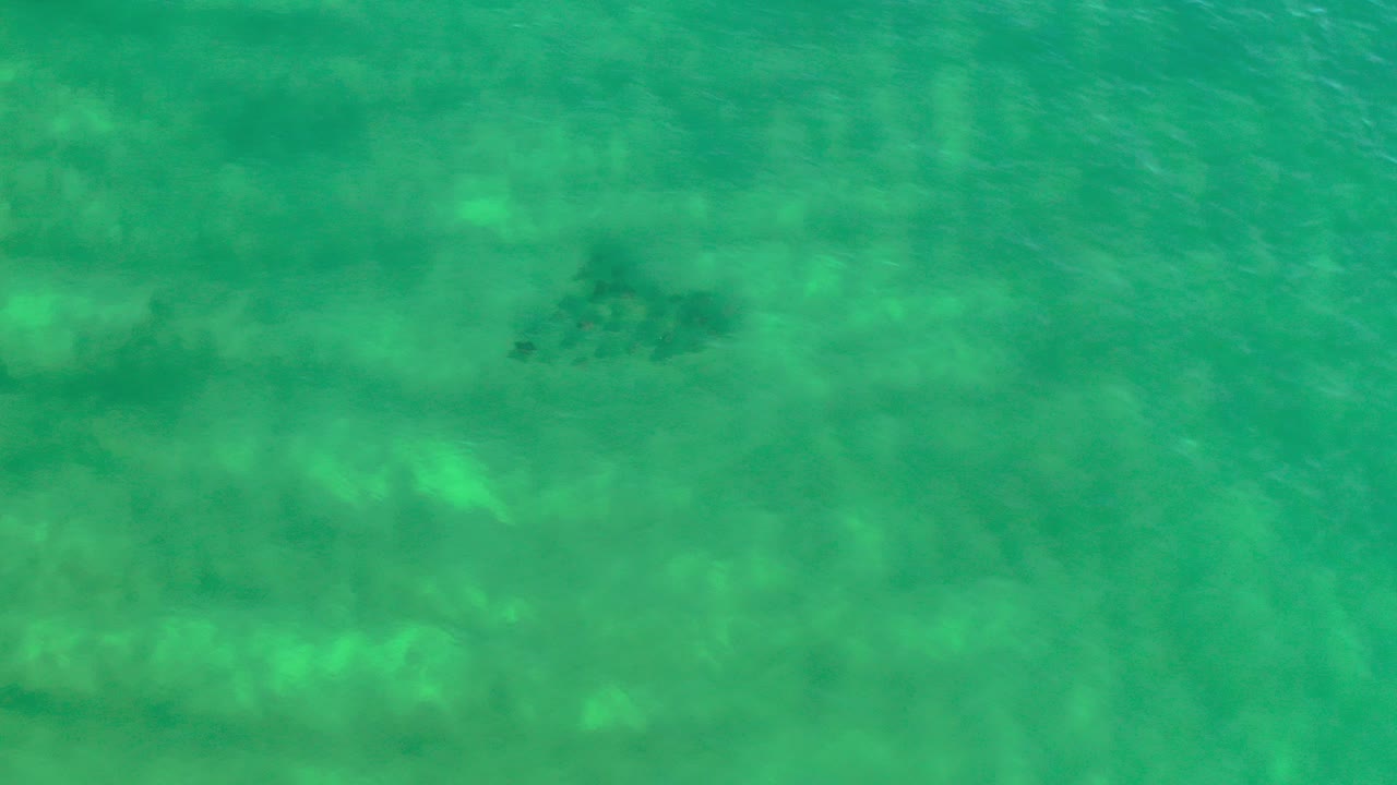Overhead view of light green ocean water in Los Cabos, Mexico, with faint dark fish shapes under the rippled surface and no visible people.