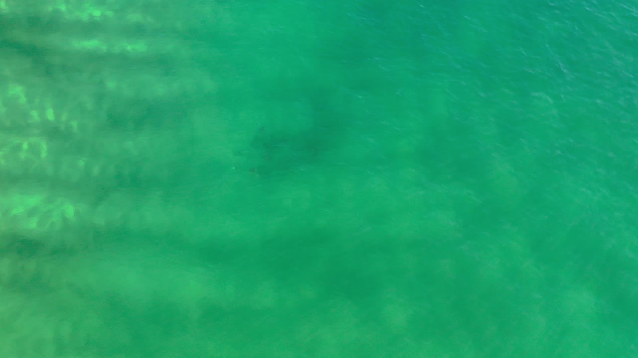 Overhead view of green ocean water in Los Cabos, Mexico, with pale underwater patches and no visible people.