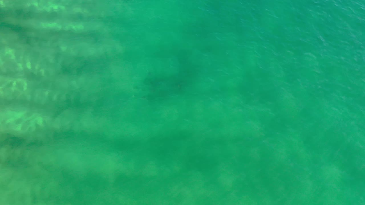 Green sea surface from above in Los Cabos, Mexico, with mottled lighter shapes under the water and no visible people.