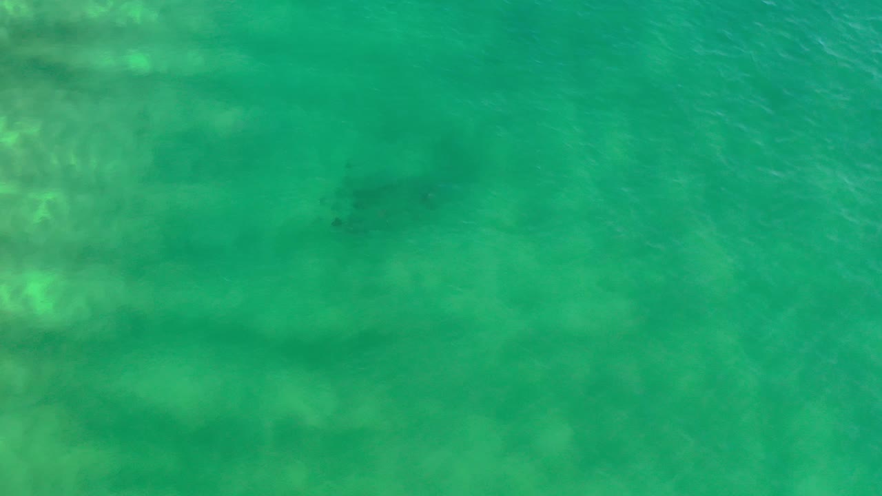Aerial green water with soft submerged streaks.