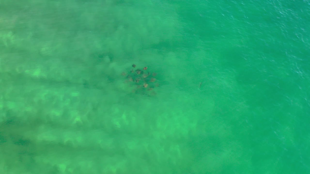 Overhead view of a small dark fish group near the upper center of clear green water in Los Cabos, Mexico, with pale seabed patches below and no visible people.