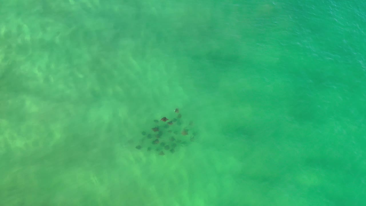 Overhead Los Cabos water view with the fish cluster slightly right of center beneath turquoise-green ripples and no visible people.