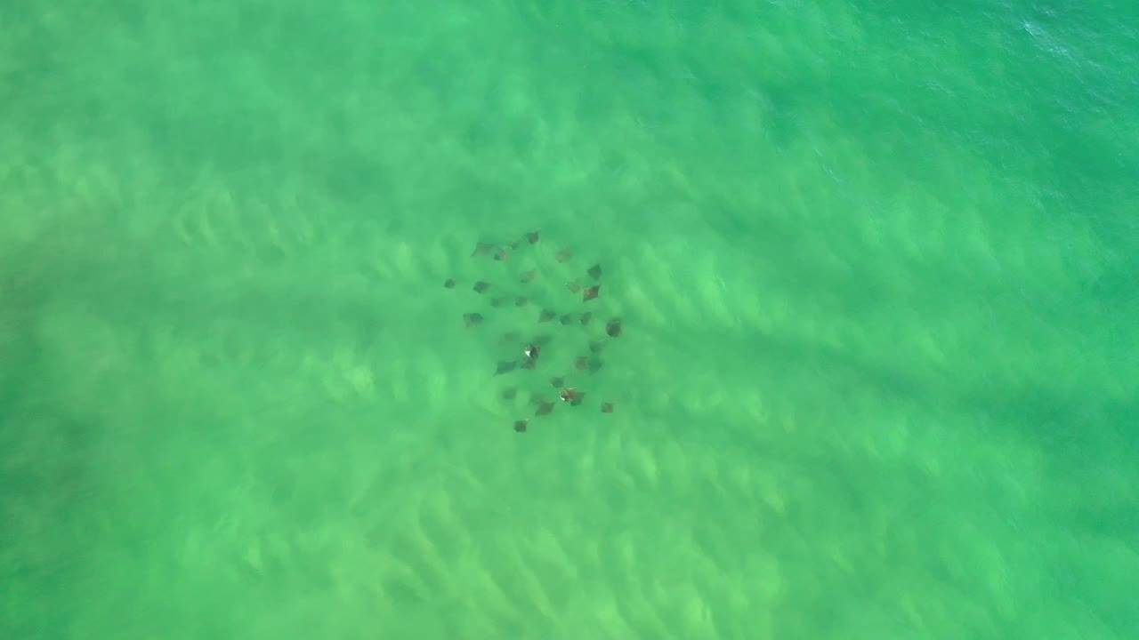 Overhead Los Cabos water frame with the dark clustered shapes slightly right of center, pale ripple bands below the surface, and no visible people.