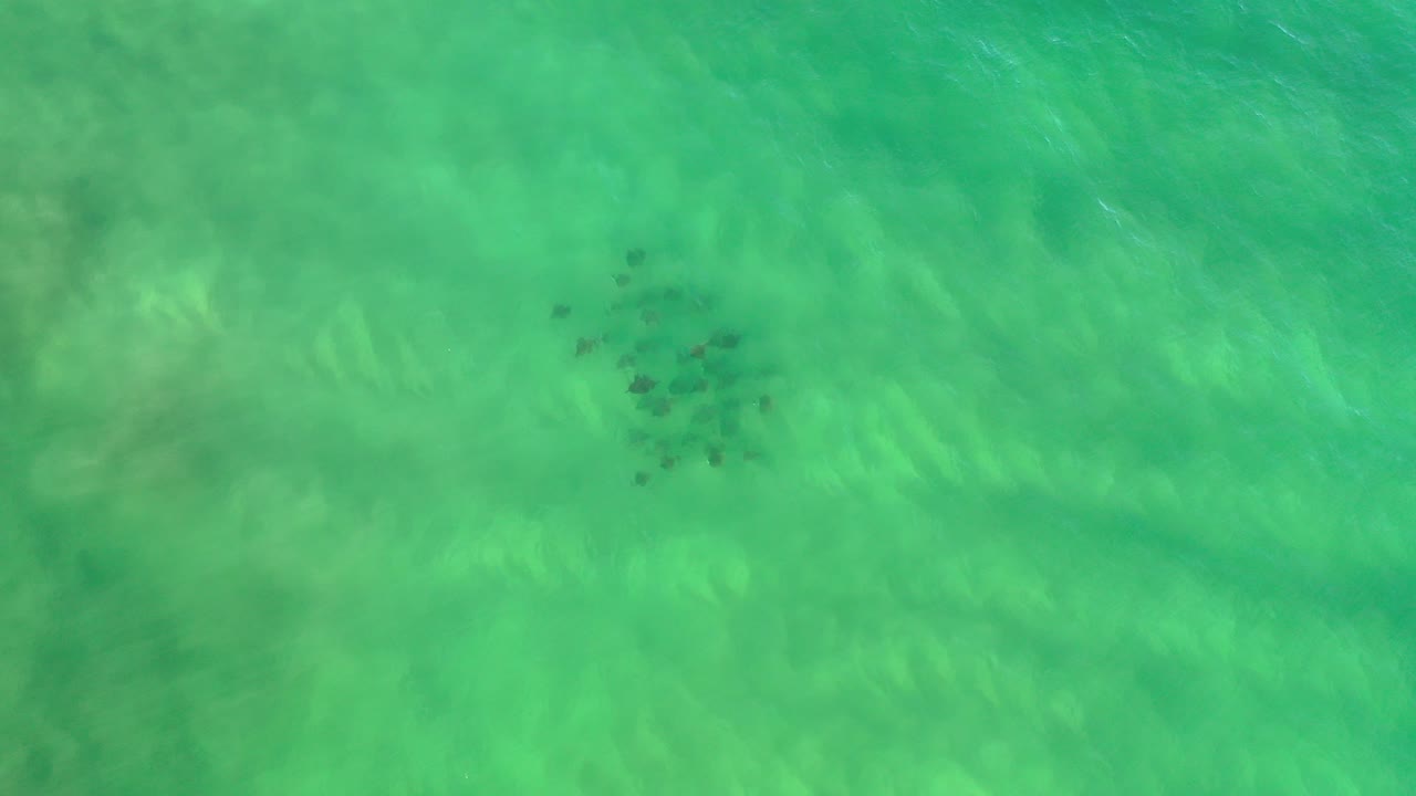 Overhead view of blue-green ocean water near Los Cabos, Mexico, with a small dark underwater patch near the upper center and no visible people.
