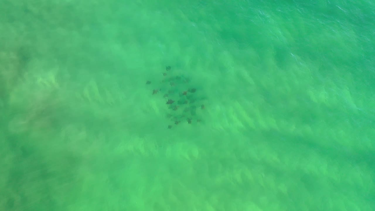 Aerial frame over translucent green ocean near Los Cabos, Mexico, with faint diagonal wave bands and a dark patch just above center, with no visible people.