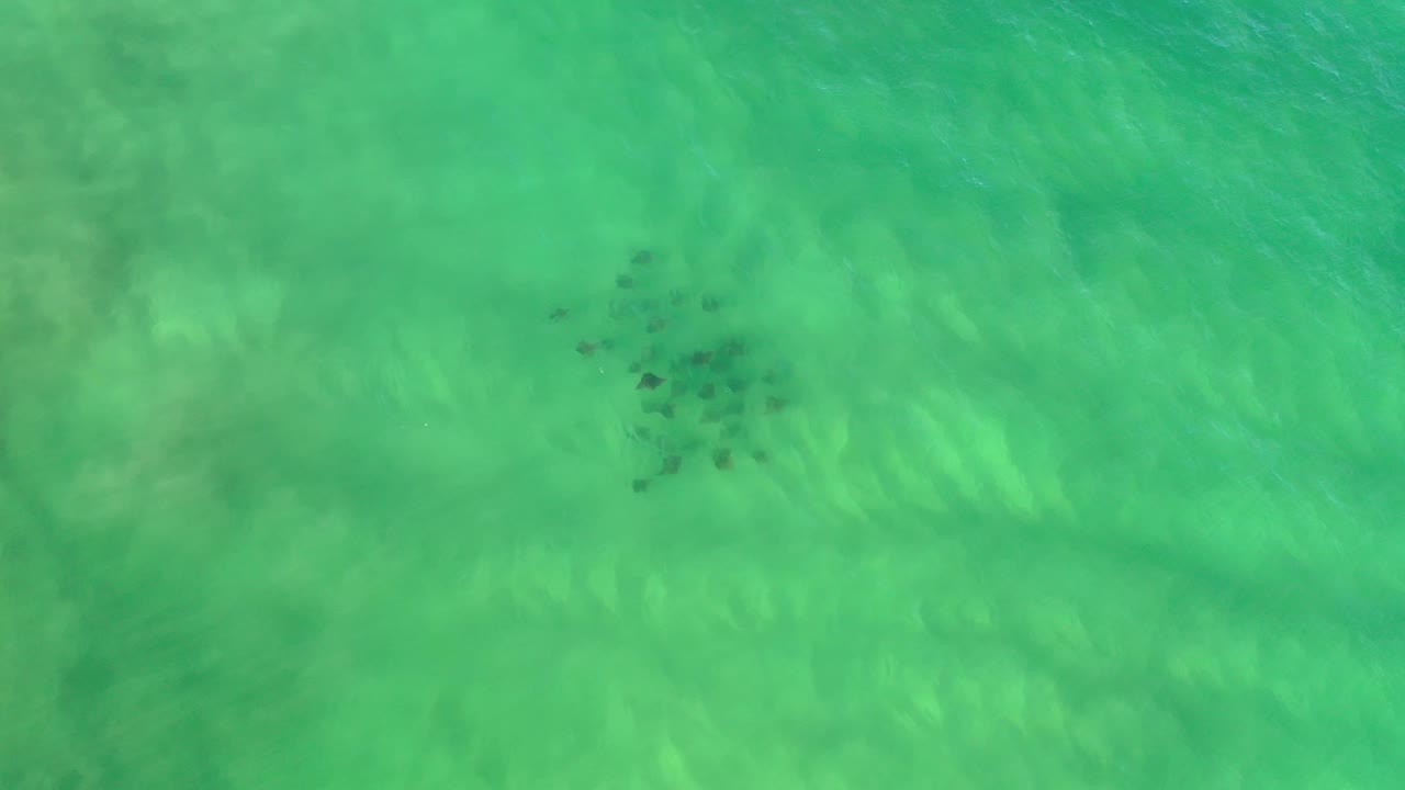 Blue-green water viewed from above with a small dark cluster