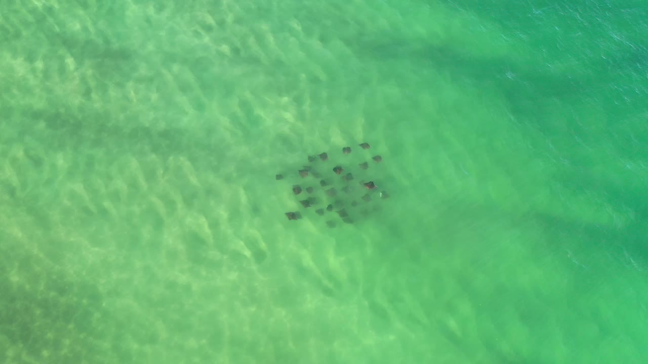 Aerial view in Los Cabos, Mexico, with the swimmer group slightly left of center under green water and pale wave reflections moving across the sandy bottom.