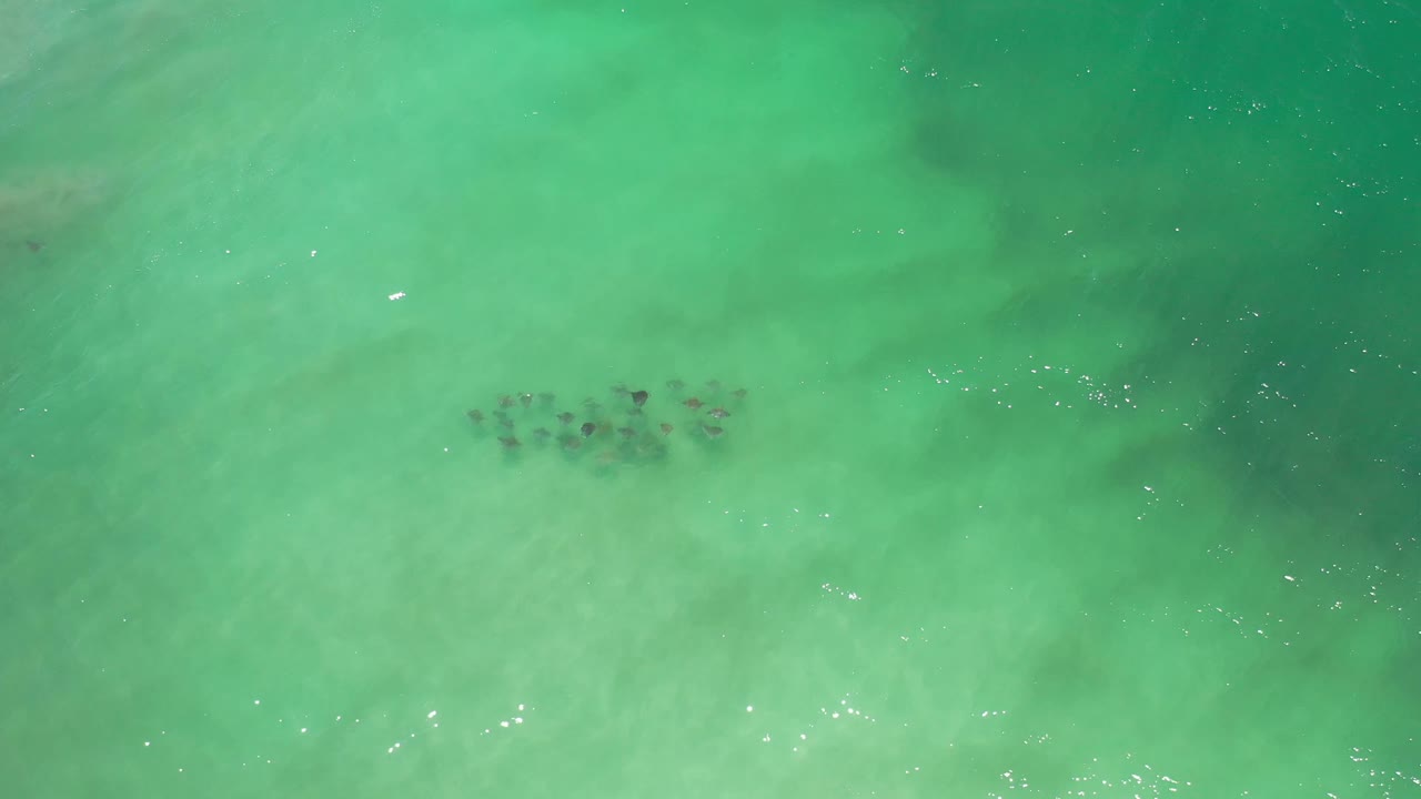 The shoal sits slightly left of center under green-blue Los Cabos water, with brighter sun specks on the surface and no visible people.