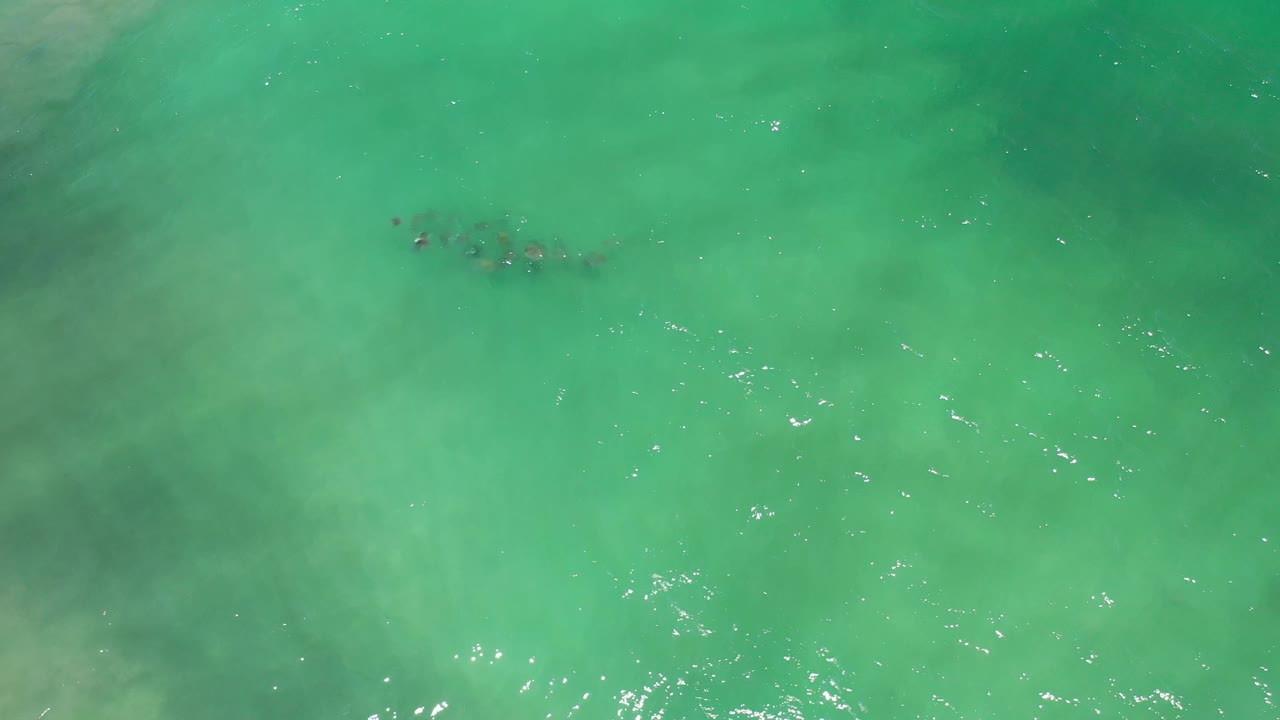 Overhead Los Cabos water frame with turquoise-green color, faint dark plant shapes near the upper left, scattered bright highlights on small waves, and no visible people.