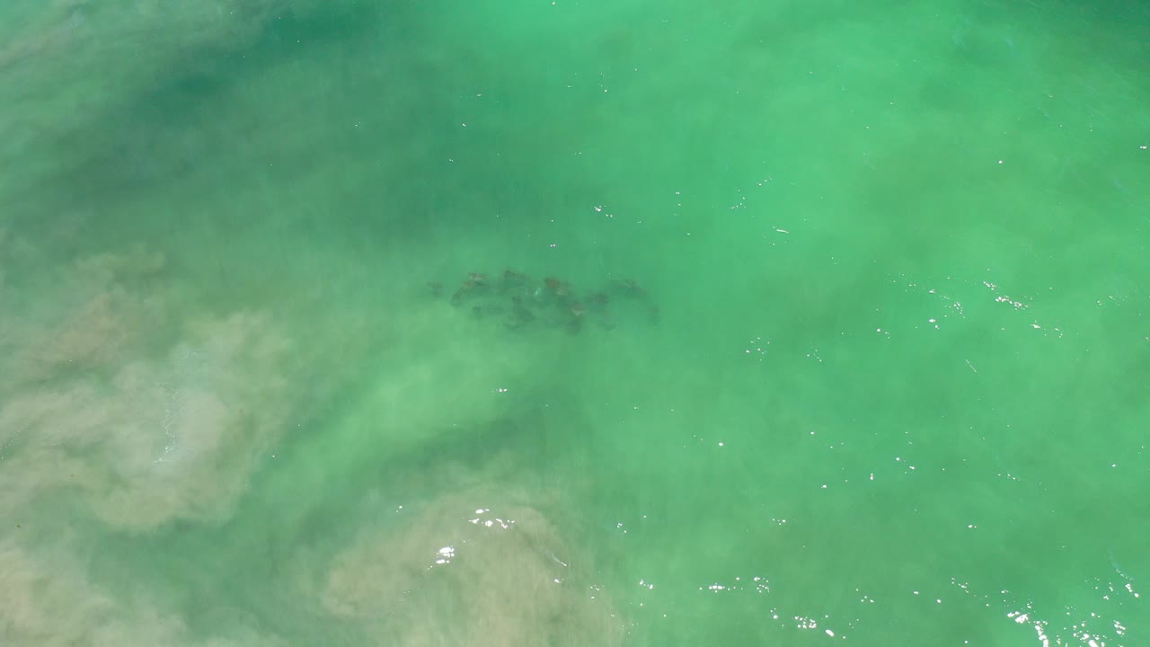 Blue-green water over sandy reef patches with small fish near center.