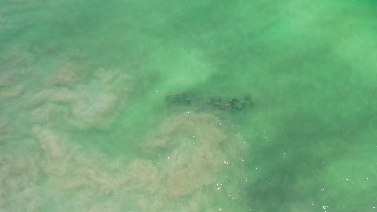 Turquoise ocean water with pale cloudy sand patterns below the surface.