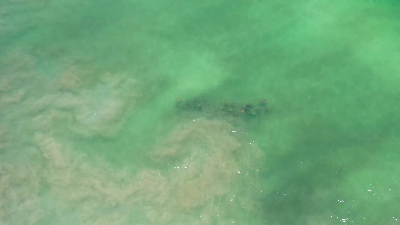 Aerial view over green turquoise water in Los Cabos, Mexico, where pale sediment swirls sit beneath the surface and no visible people appear.