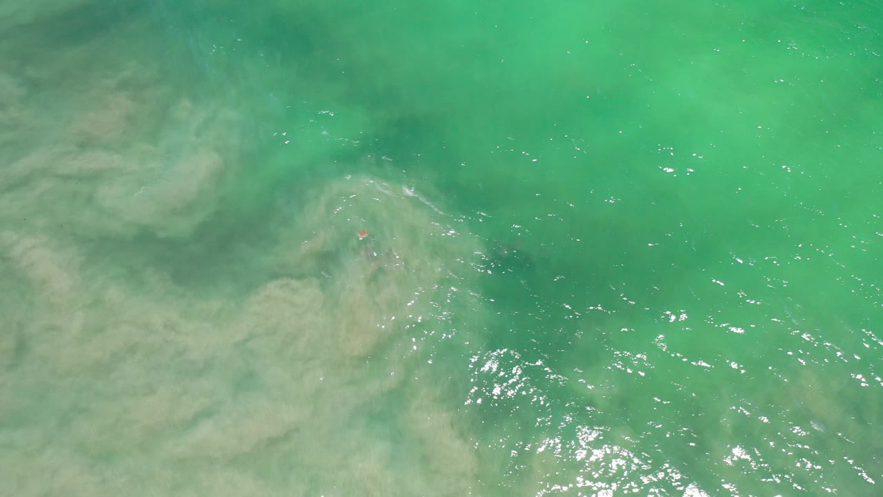 Overhead green sea with cloudy sediment and submerged rocks.