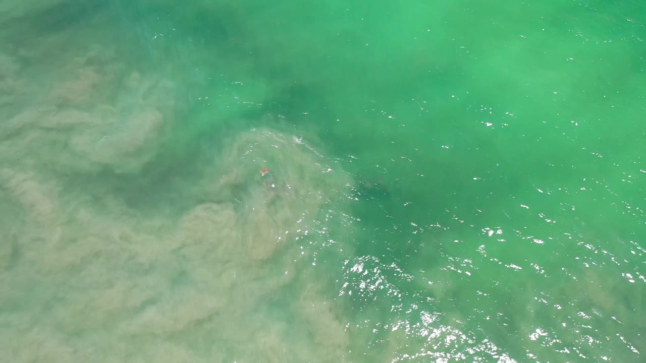 Overhead Los Cabos water view with pale brown sediment drifting under green surface ripples, scattered white highlights, and no visible people.