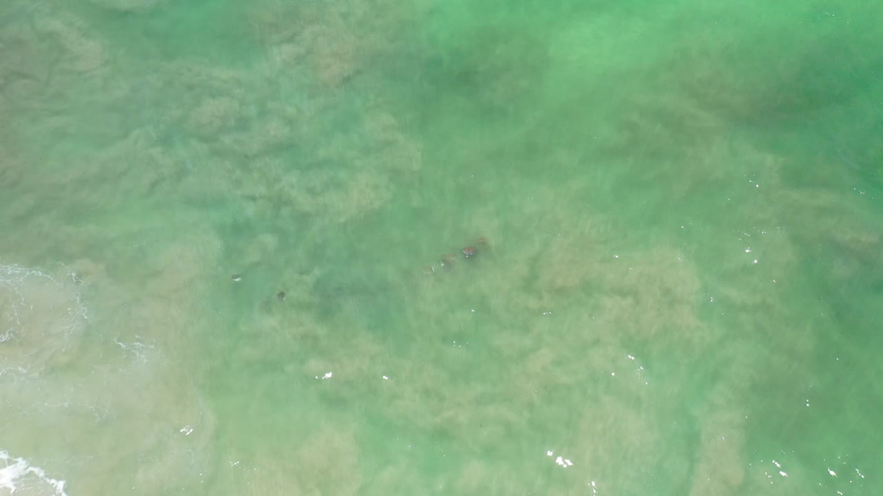 Top-down view of green water over loose pale sand in Los Cabos, Mexico, with faint darker patches under the surface and no visible people.