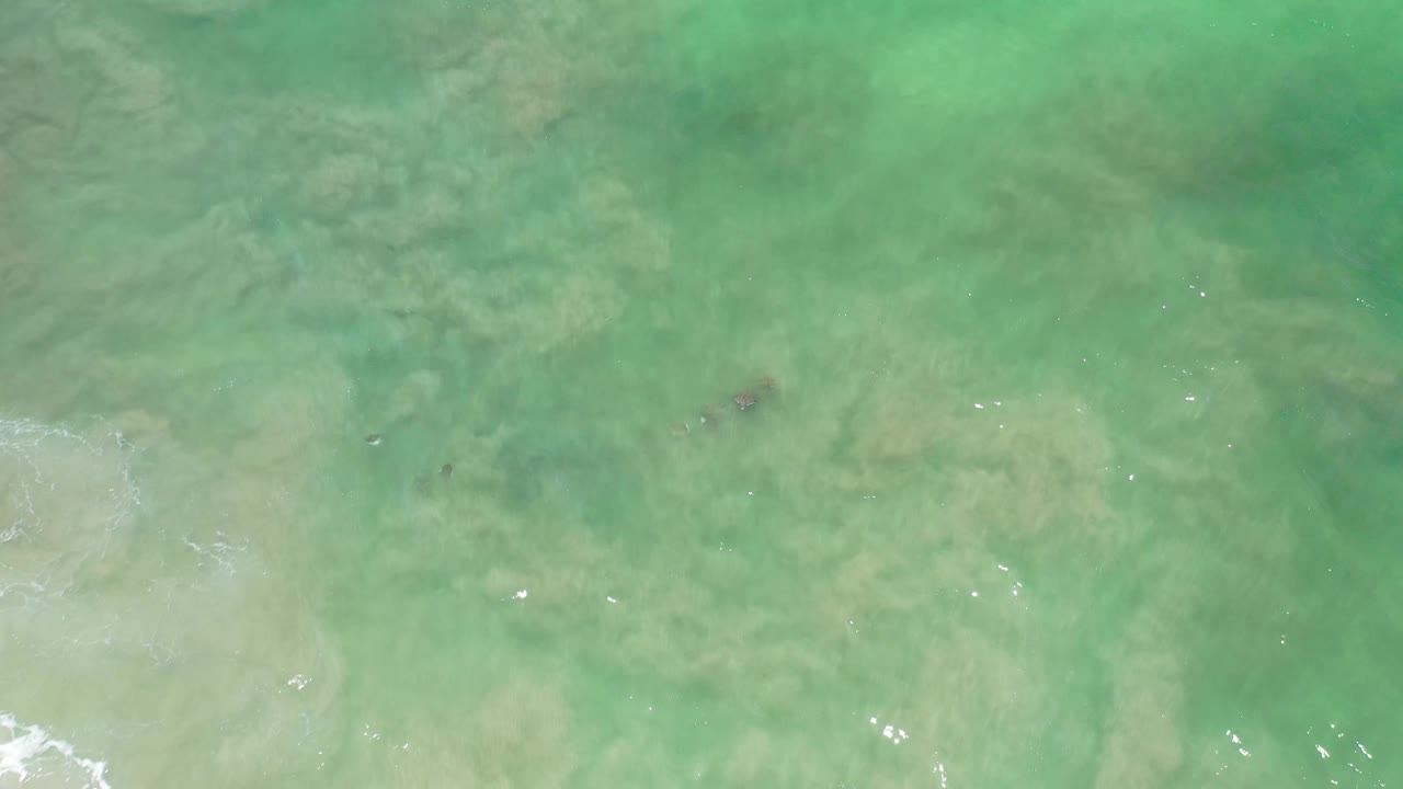 A slightly shifted overhead frame shows translucent green Los Cabos water, muted sand patterns below, small white light flecks, and no visible people.