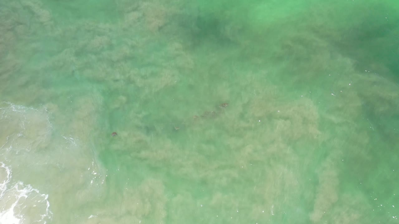 Foam enters the lower left of a green shallow-water view.