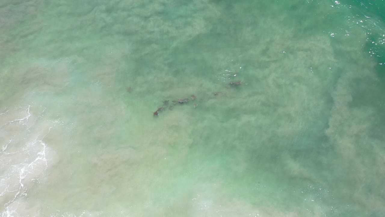 Overhead view of shallow teal water in Los Cabos, Mexico, with pale sand, faint white surf at left, dark underwater shapes near center, and no visible people.