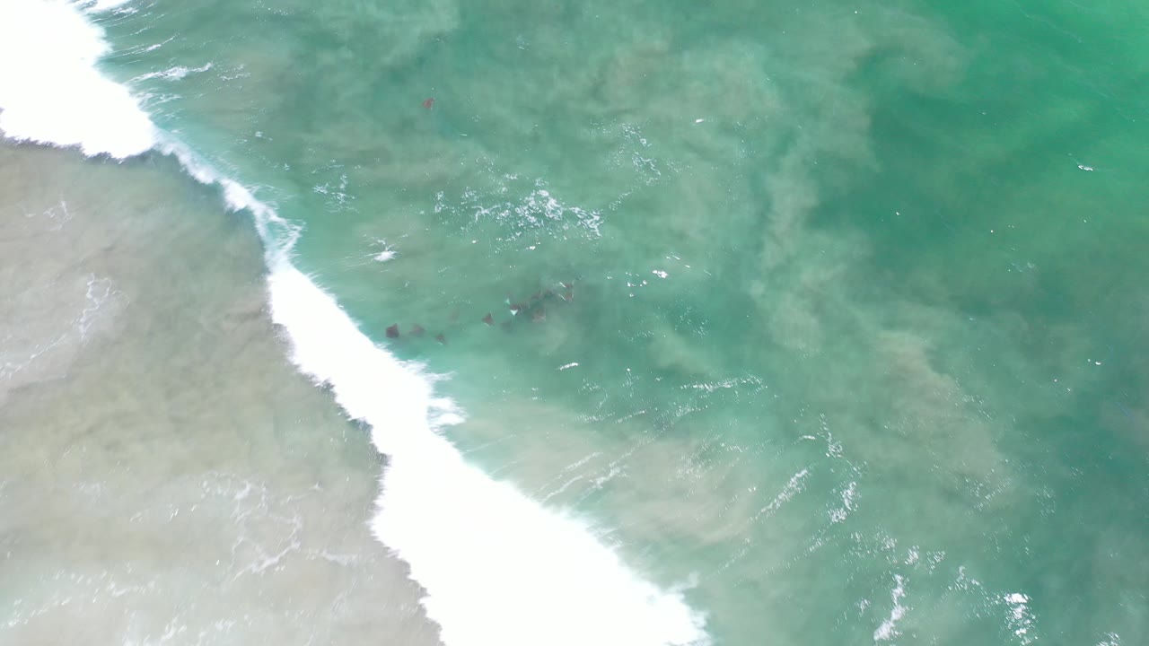 Overhead view in Los Cabos, Mexico, with white surf cutting diagonally along pale sand and a small shoal of dark fish in turquoise shallow water, no visible people.