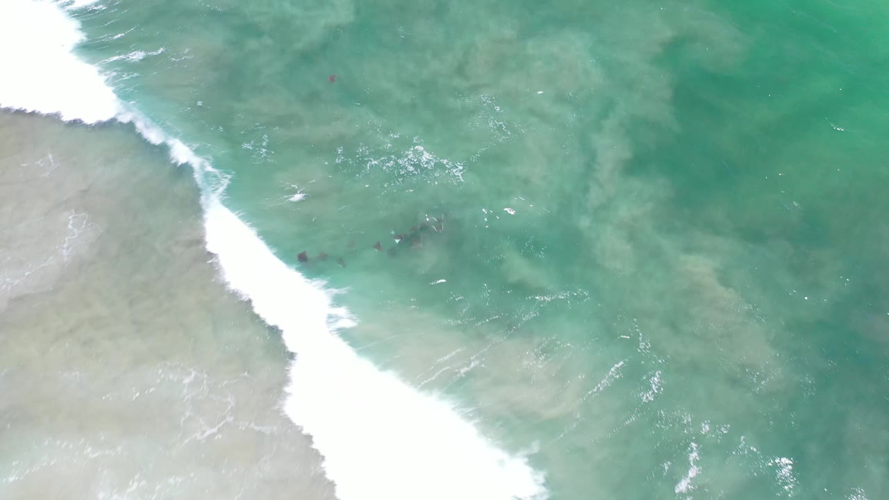 Aerial Los Cabos shoreline frame with the foam line slightly farther across the left edge and the fish cluster holding in the green-blue shallows, no visible people.