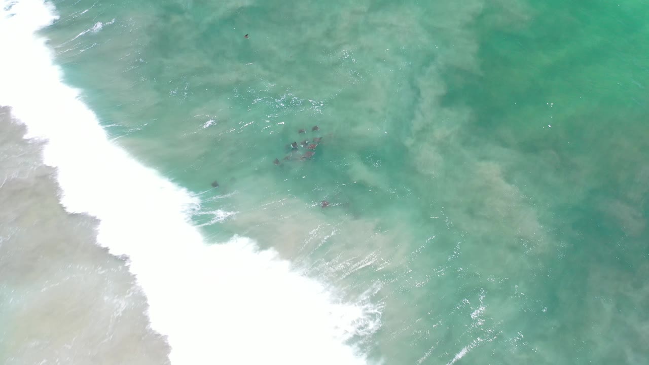 White surf curls beside shallow teal water with a dark fish shoal near the upper center.