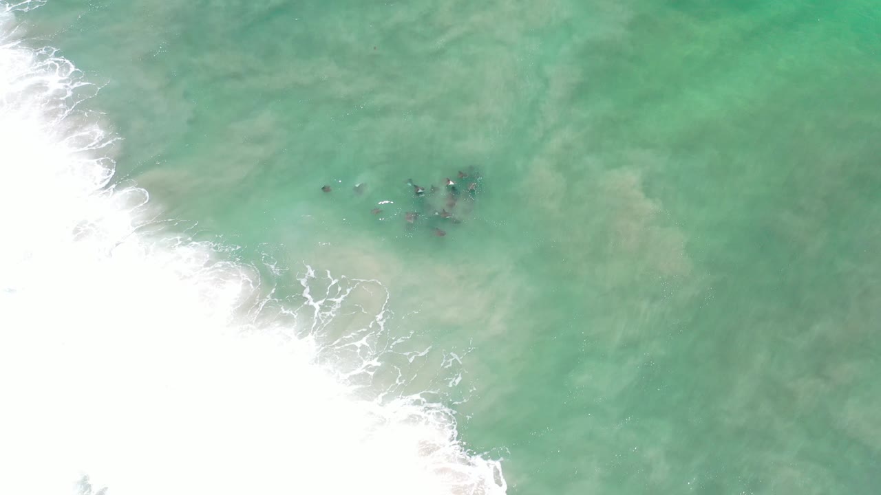 Overhead view in Los Cabos, Mexico of turquoise seawater, white surf entering from the left, and a small dark group of animals near the surface with no visible people.